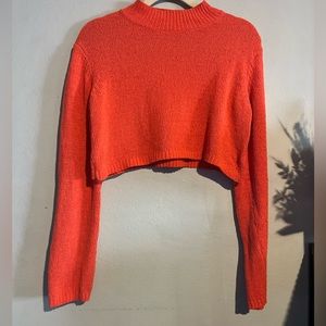 Wild fable crop sweater